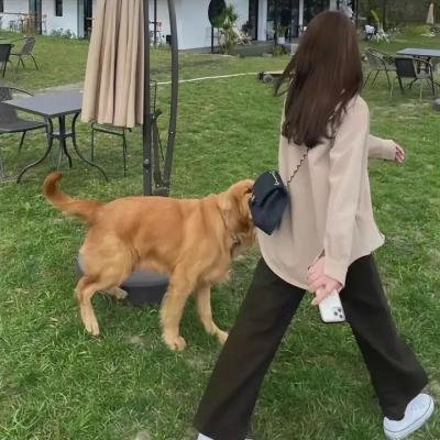 慕尼黑